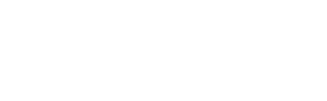 Meneses Le Roux Inc.